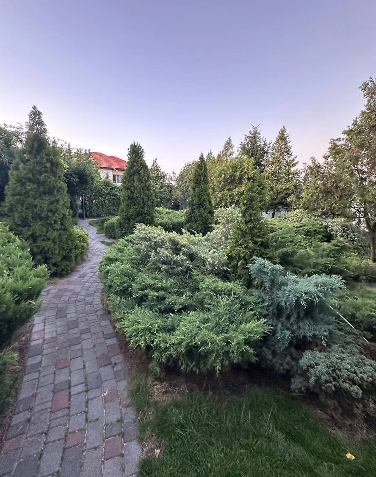 Будинок, Горішні Плавні: 12 соток, веранда, бесідка - фото 2