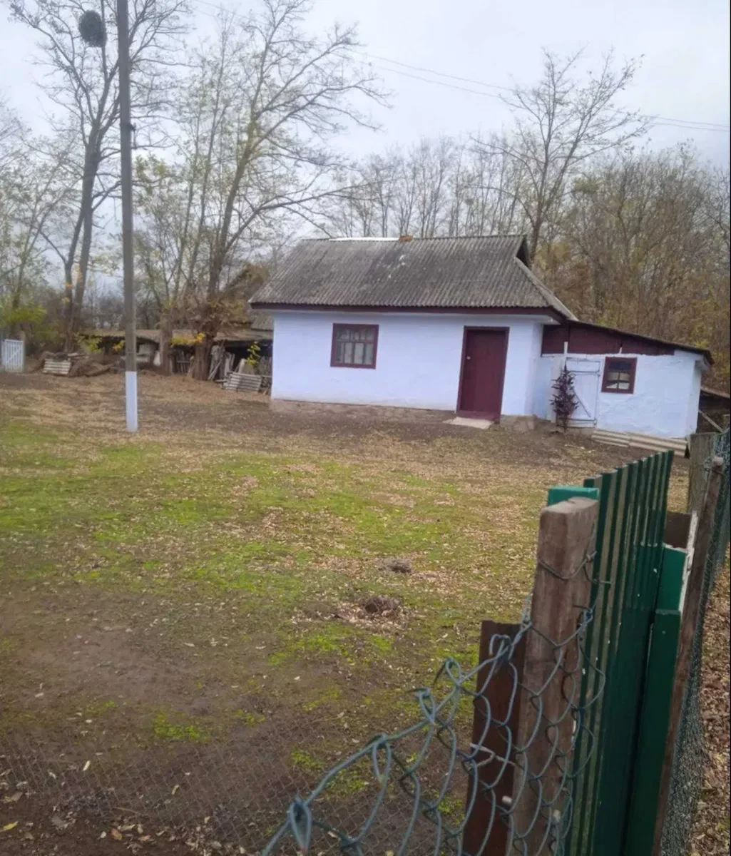 Будинок, Цибулівка: 41 соток, літня кухня, піч і груба, фото 2