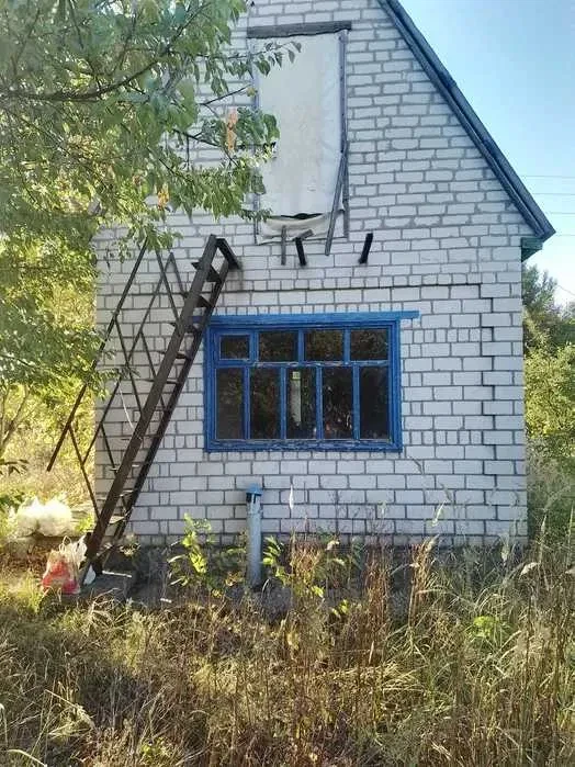 Дача, Світловодськ: 5 соток, ліс і річка поруч - фото 2