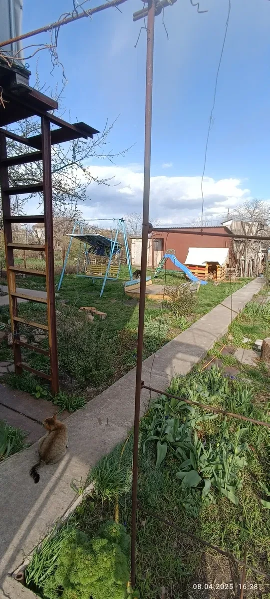 Дача, Новолозоватка: собственный пирс, 200 м до водоема - фото 4