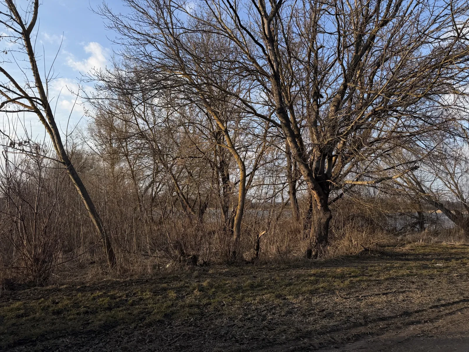 Участок 15 соток, Широкая Гребля: выход к озеру, дом - фото 4