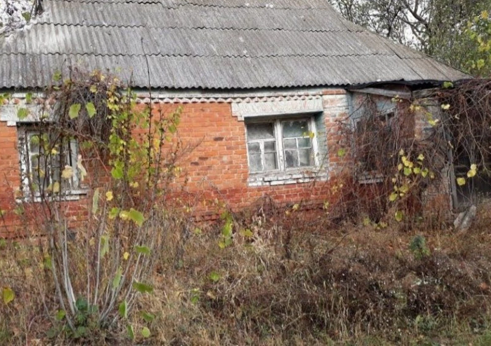 Дача, Борозенка: колодец, гараж с подвалом, фото 5