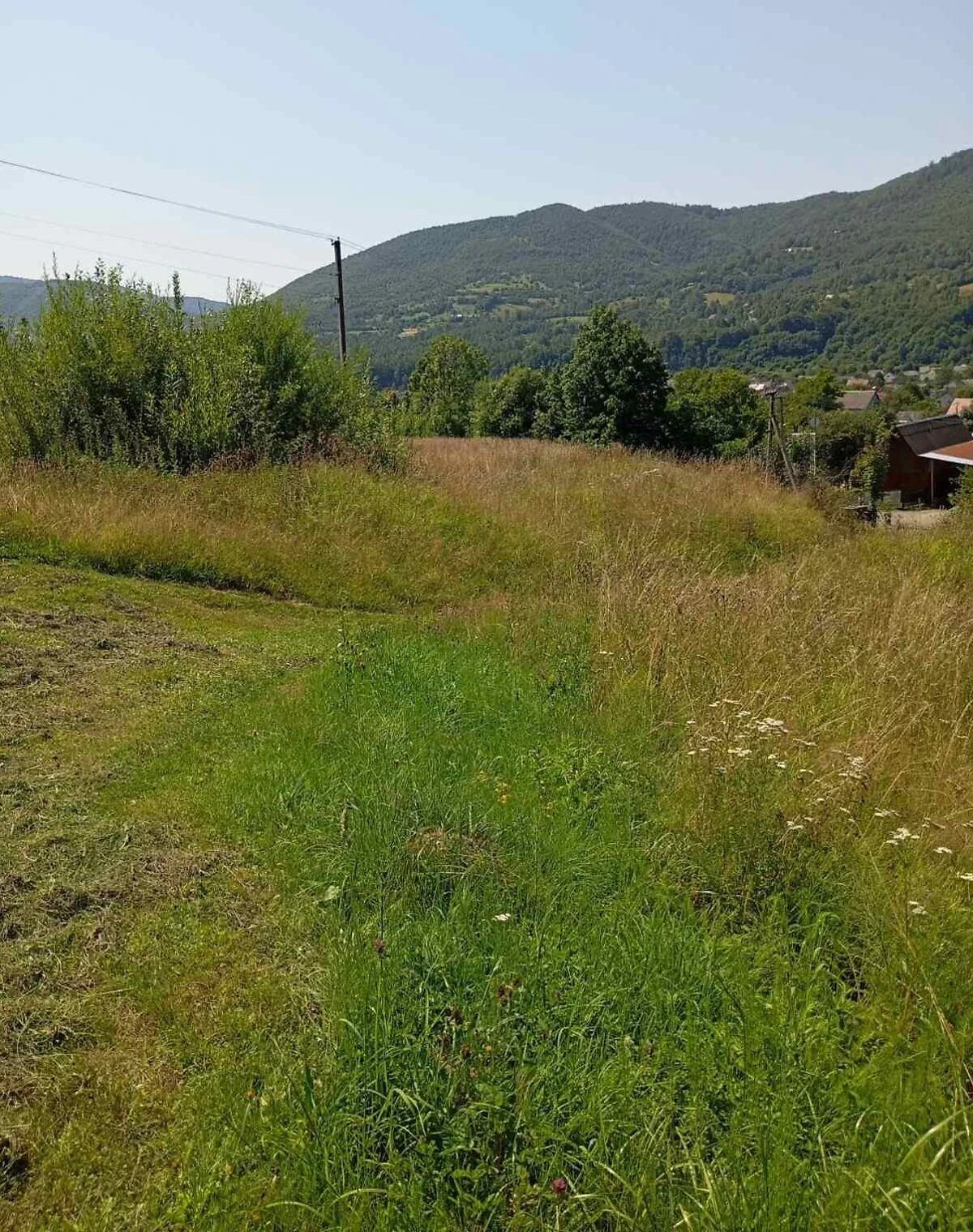Участок 6 соток, Синевир: под жилую застройку, возле гор, фото 3