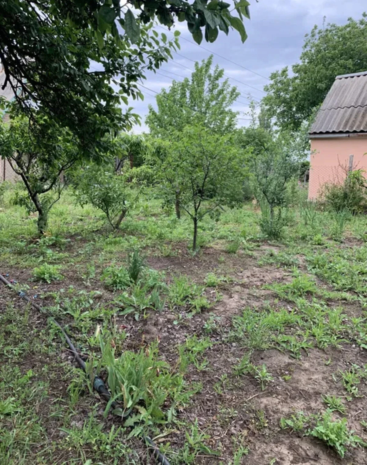 Ділянка 6 соток, Надбузьке: сільськогосподарського призначення