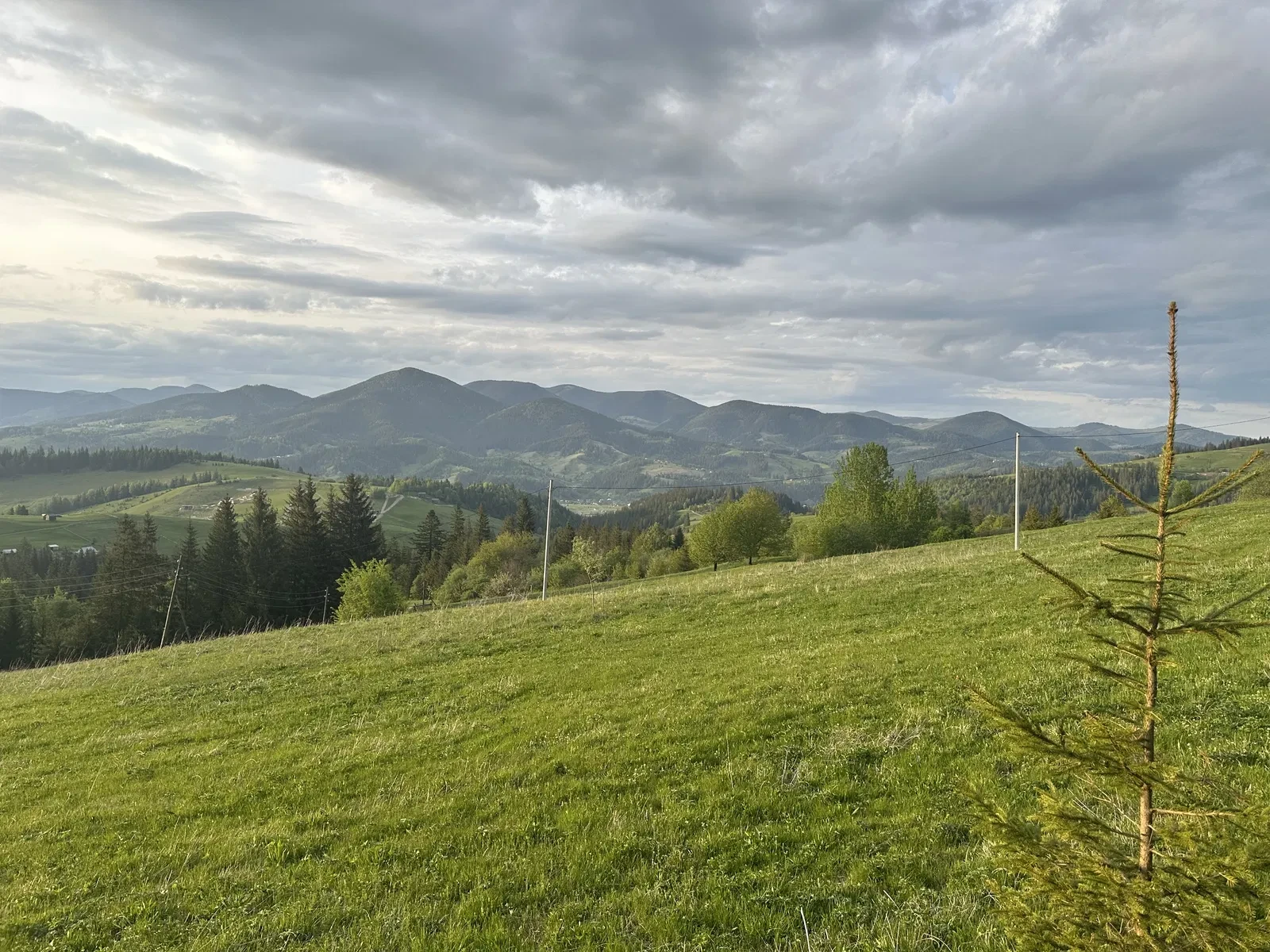 Участок 50 соток, Красник: панорама на Черногорский хребет, фото 5