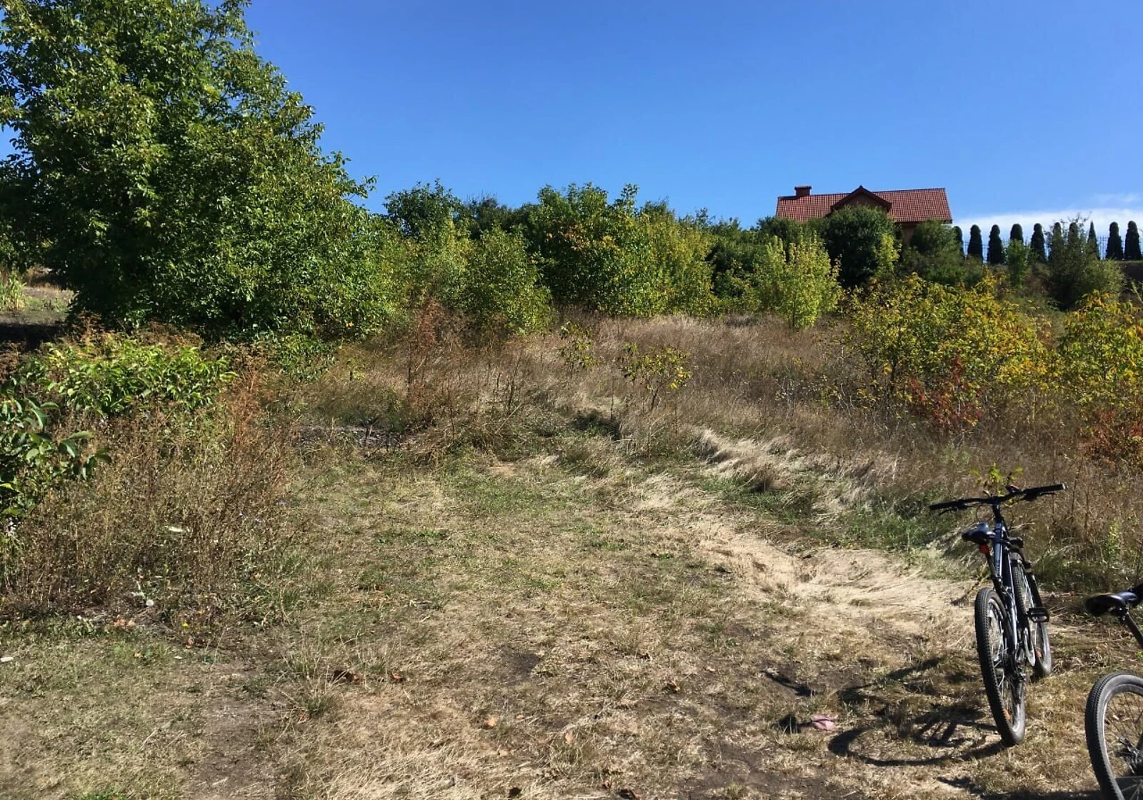 Ділянка 10 соток, Городок: під житлову забудову, сад, чорнозем, фото 1