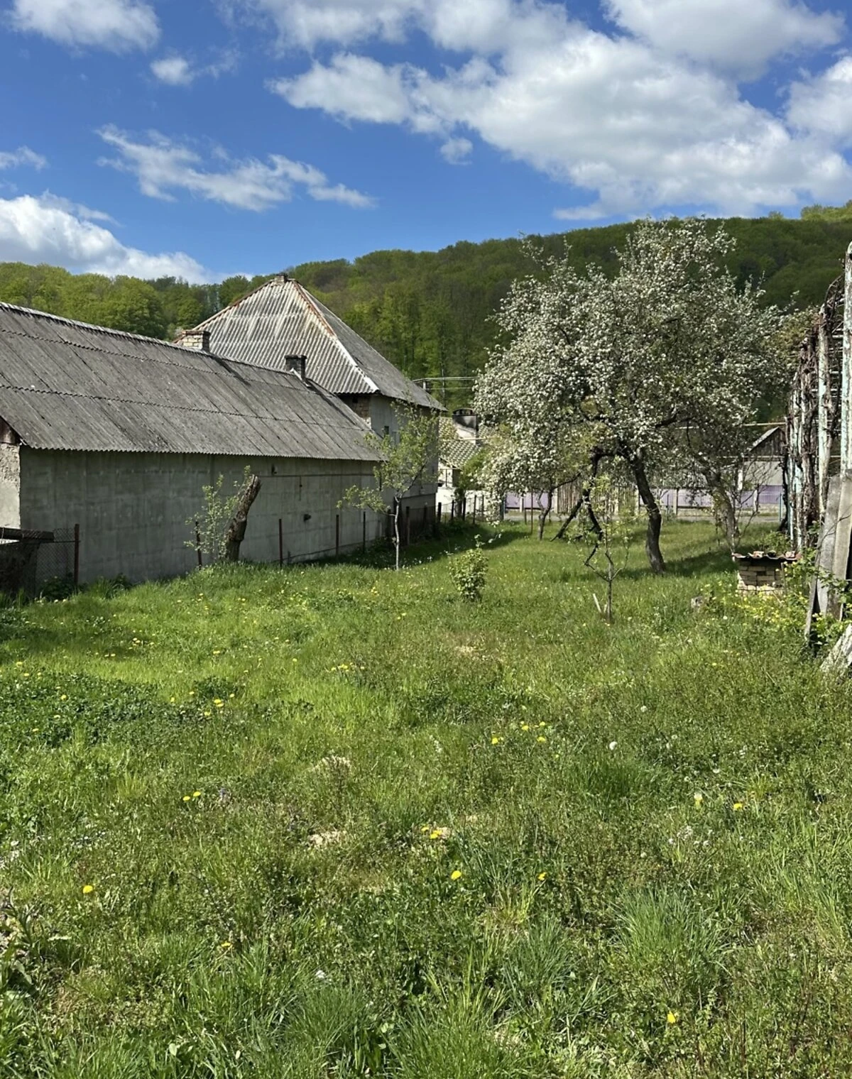 Ділянка 21 соток, Чинадійово: під житлову забудову, біля гір - фото 3