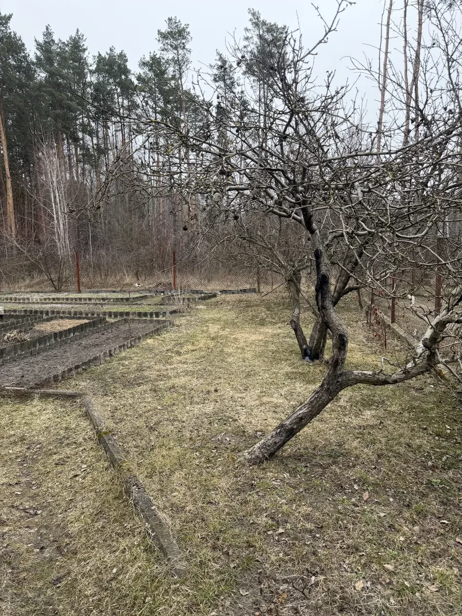 Дача, Ясногородка: крайня ділянка біля лісу й озера, піч і камін, фото 3
