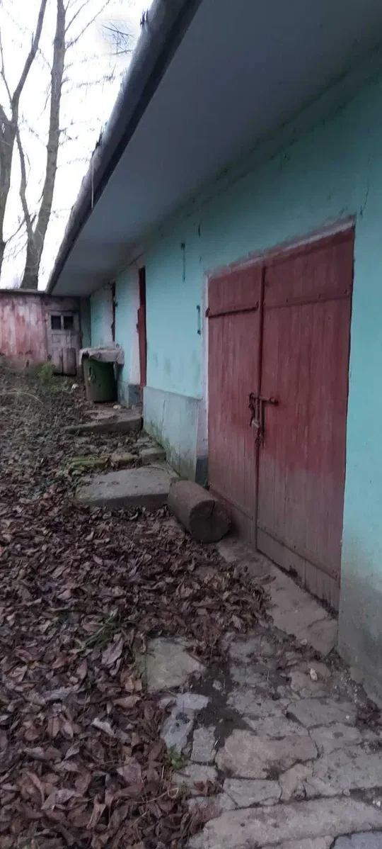 Будинок, Слобідка-Глушковецька: сад, гараж, торг - фото 1