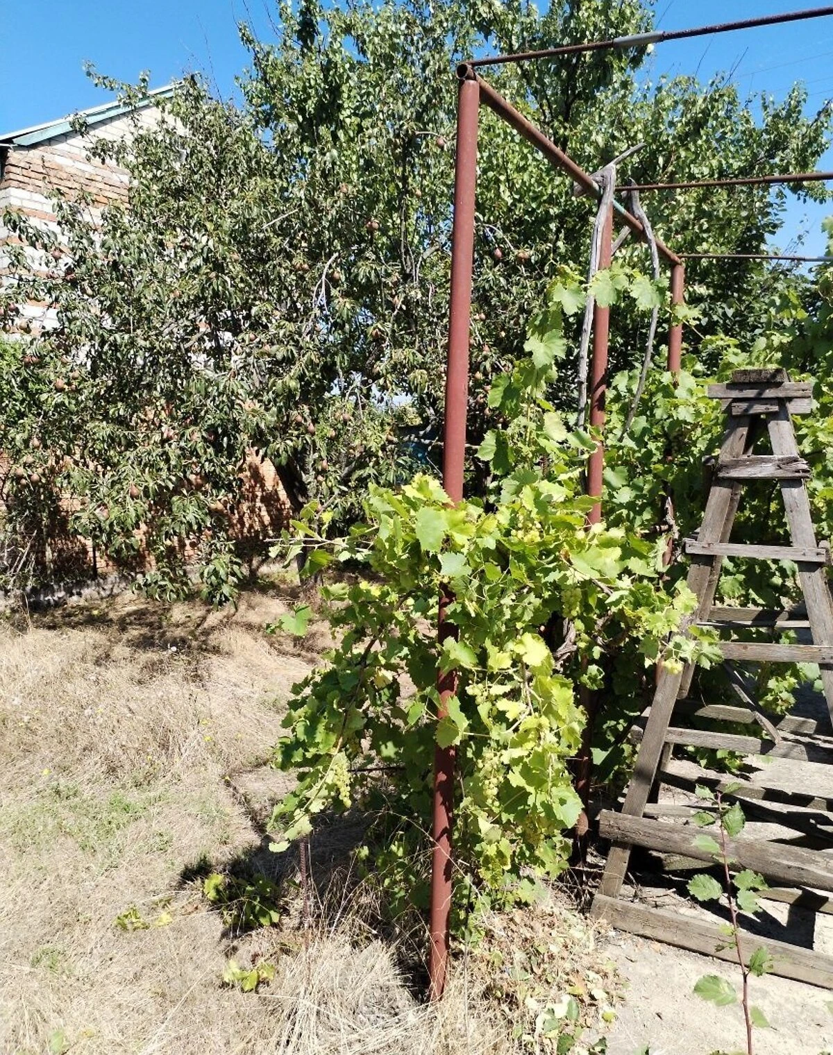 Будинок, Костянтинівка: дача, 4 сотки, поливна система - фото 2