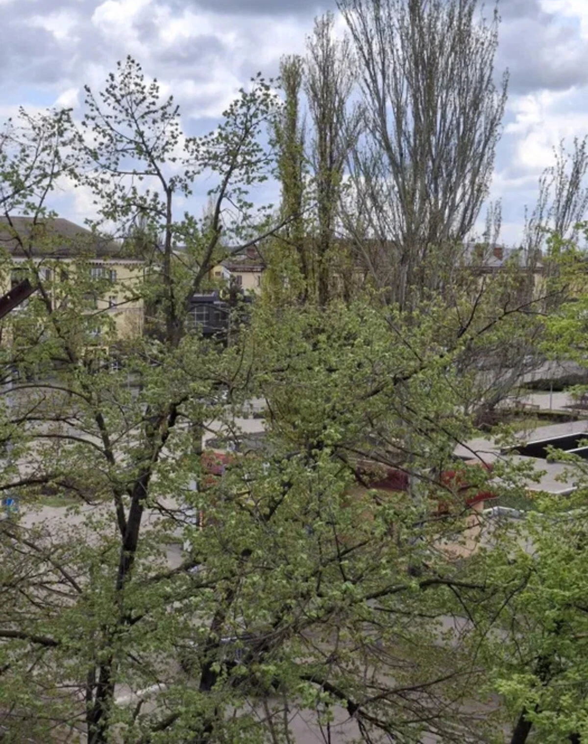 1-кімнатна квартира, Кривий Ріг: кухня-студія, балкон - фото 4