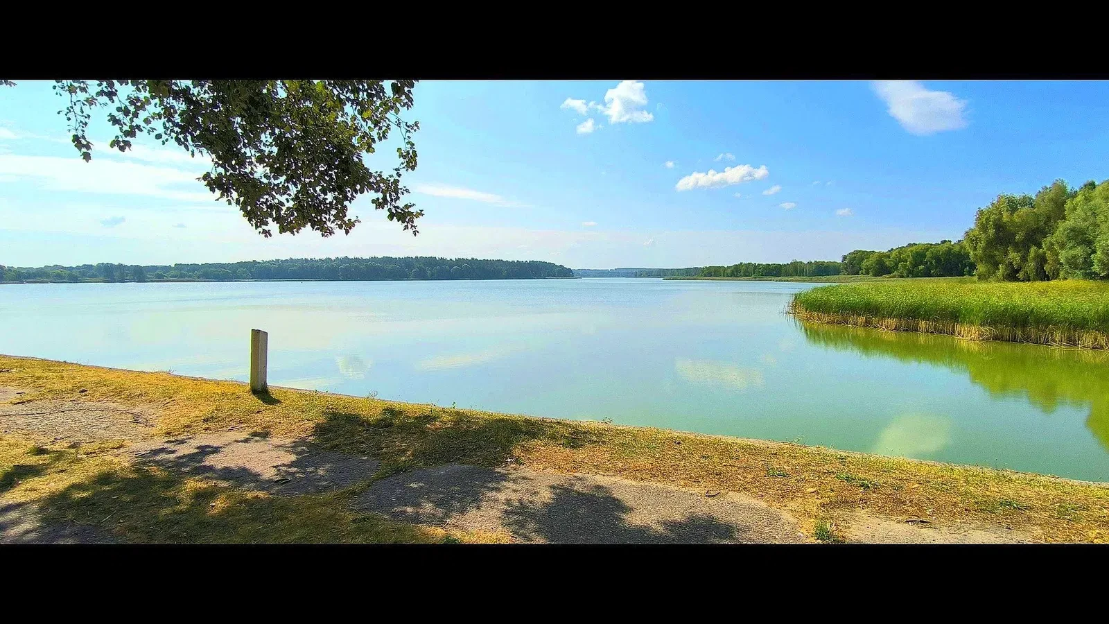 Ділянка 10 соток, Макарів: 15 кВт, біля водосховища, фото 5