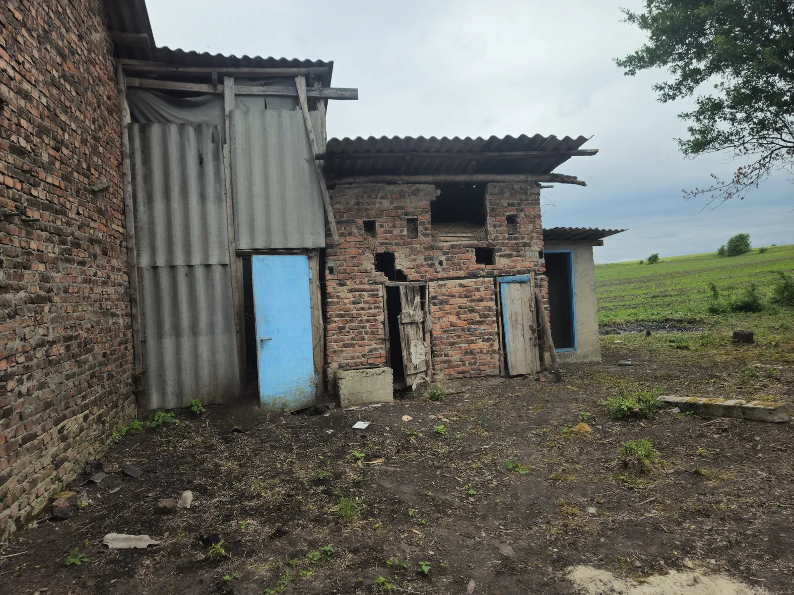 Будинок, Вижняни: погріб, для господарства, 30 км від Львова - фото 4