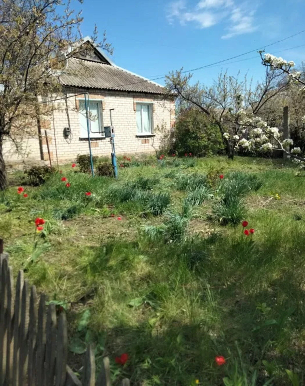 Будинок, Вакулове: торг, ділянка 12 соток, літня кухня - фото 3