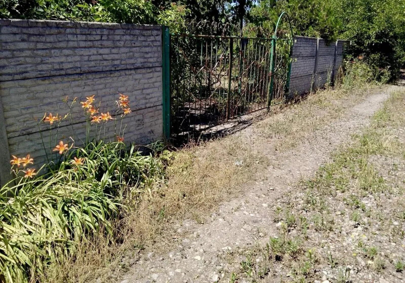 Ділянка 25 соток, Підгороднє: сільськогосподарського призначення, сад - фото 2