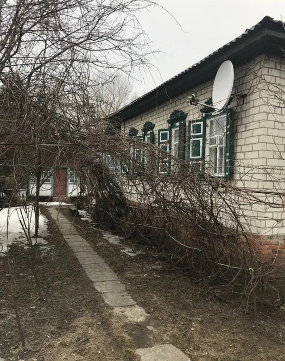 Будинок, Борзна: гараж у дворі, город і сад, фото 5