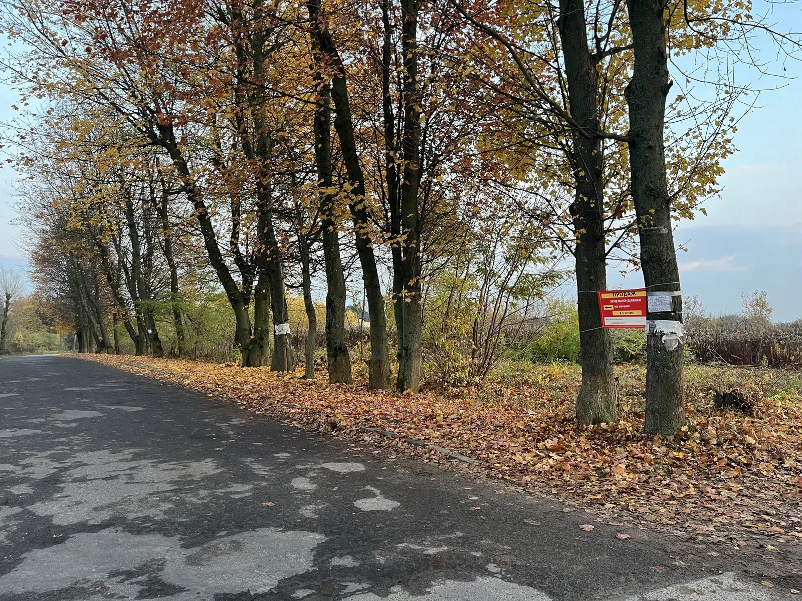 Участок 8,5 сотки, Солуки: первая линия от трассы, опоры рядом, фото 4