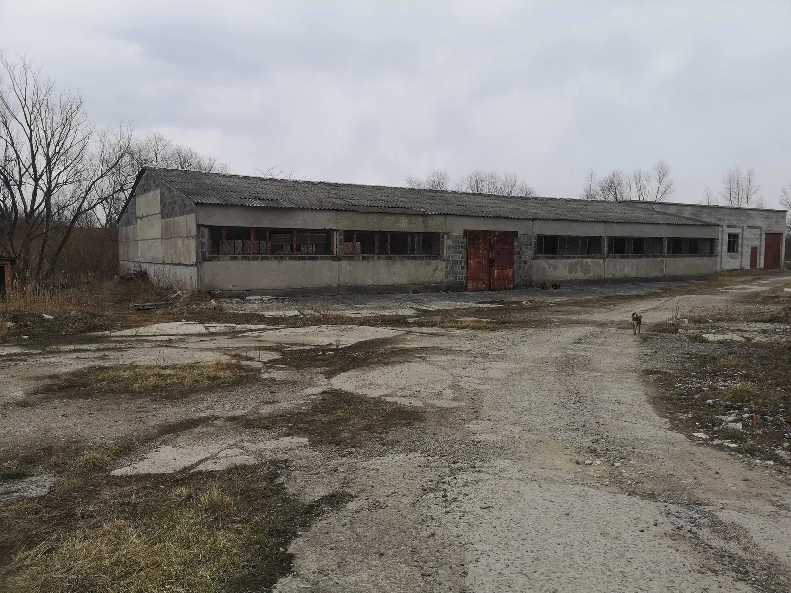 Виробниче приміщення, Берездівці: 1 га, трансформатор, колія 300 м - фото 4