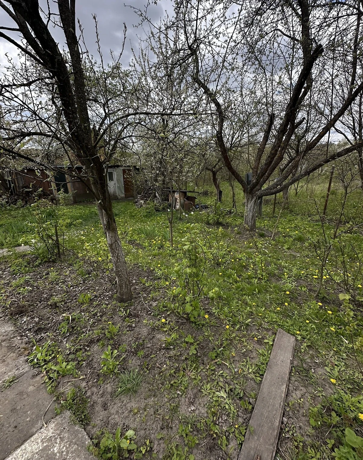 Будинок, Івашківці: 6 соток, камін, газ за відсутності світла - фото 2