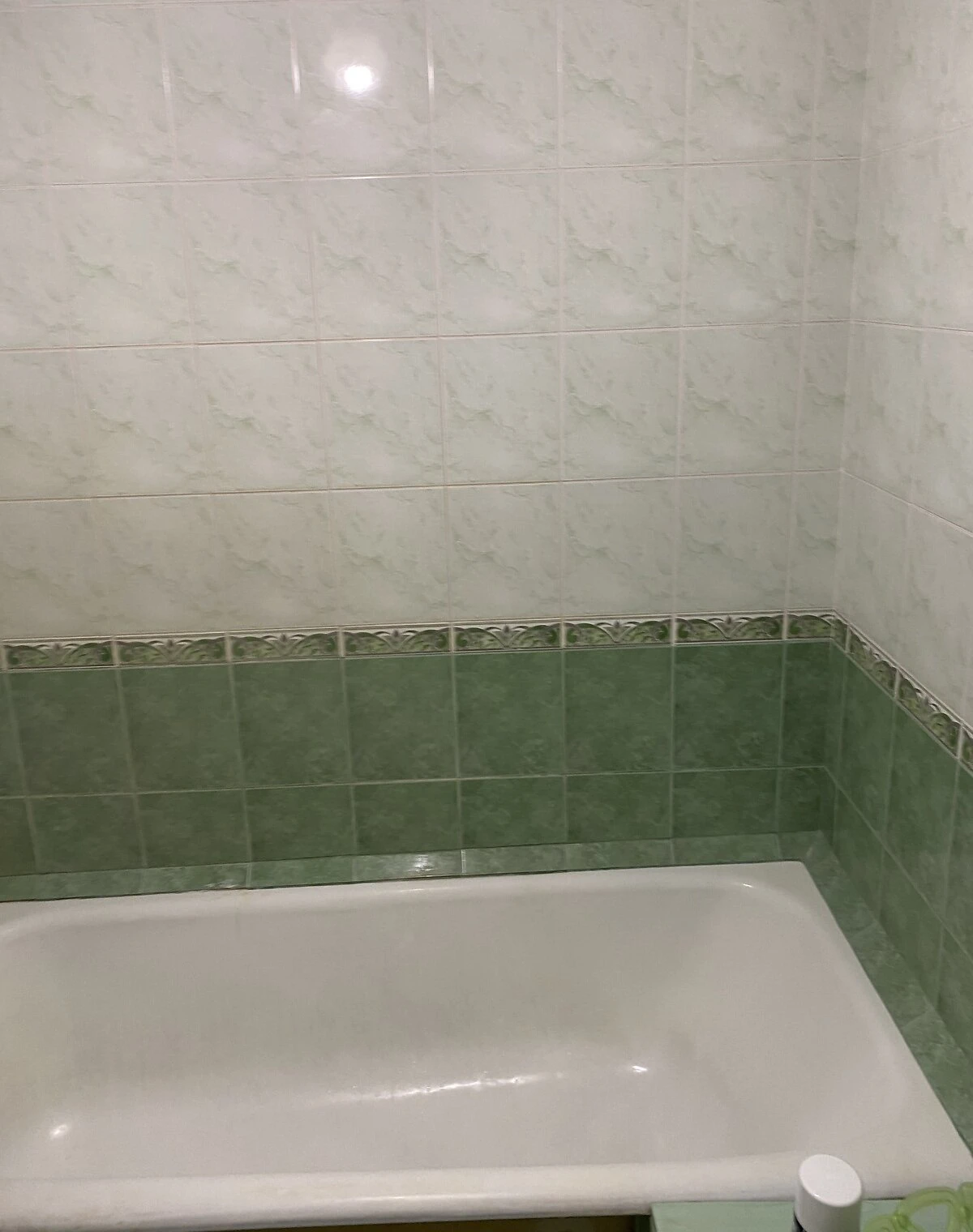 1-кімнатна квартира, Зарічний: газ і вода без світла, можливий торг, фото 5