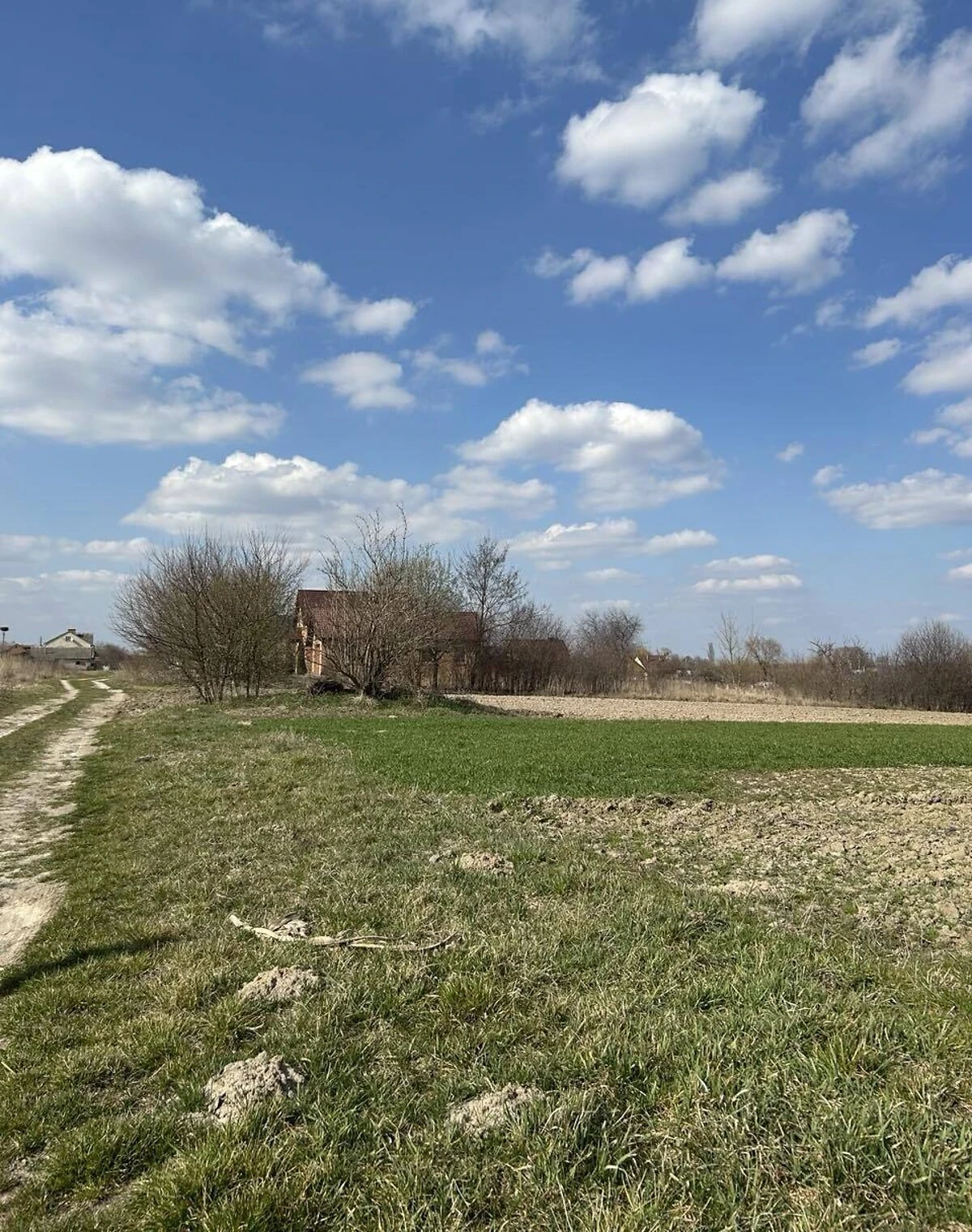 Ділянка 12 соток, Рокині: під житлову забудову, під гараж - фото 2