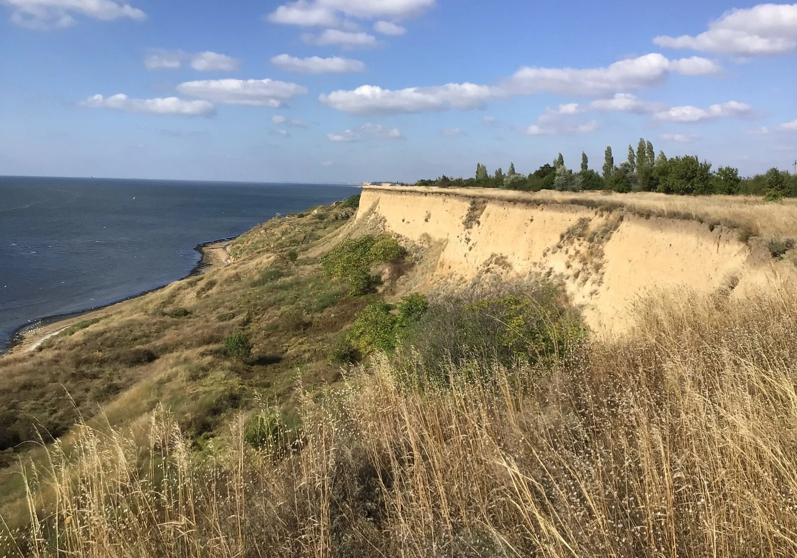 Участок 25 соток, Рыбаковка: сад, бассейн, электричество, фото 3
