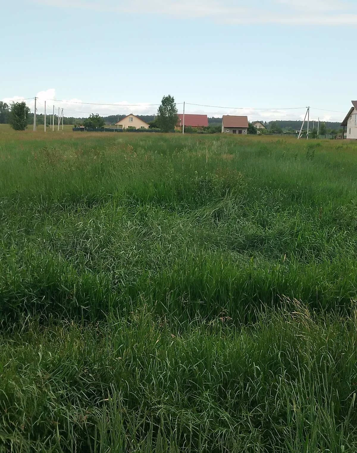 Ділянка 5.87 соток, Луб'янка (Бородянка): під житлову забудову, електрика - фото 2