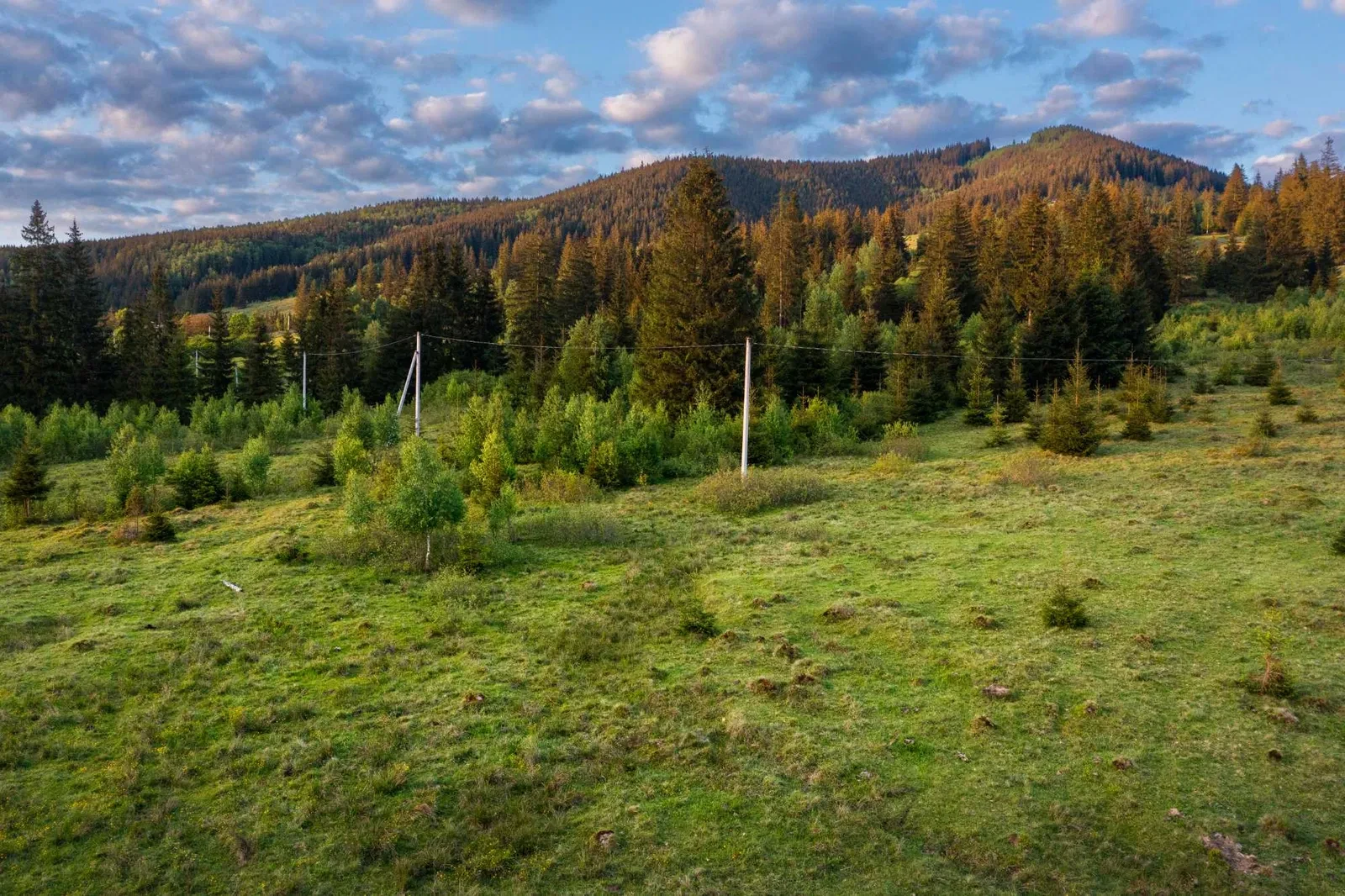 Ділянка 69 соток, Стаїще: під будівництво, джерело води, фото 2