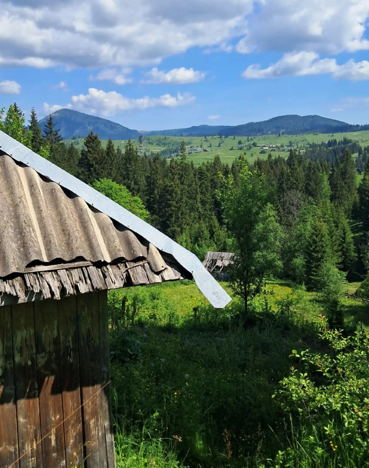 Ділянка 50 соток, Яблуниця: під житлову забудову, криниця - фото 4