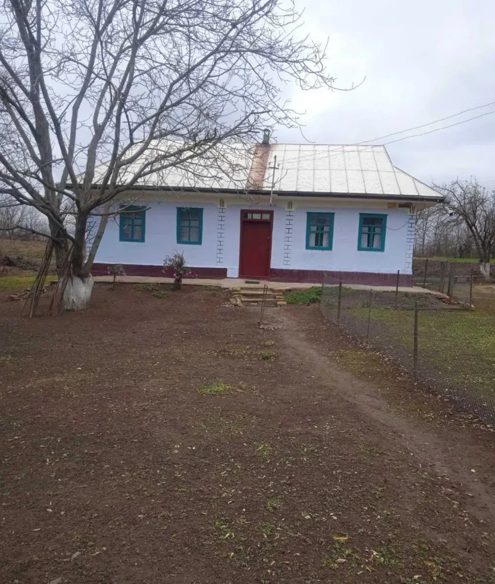 Будинок, Цибулівка: 41 соток, літня кухня, піч і груба, фото 1