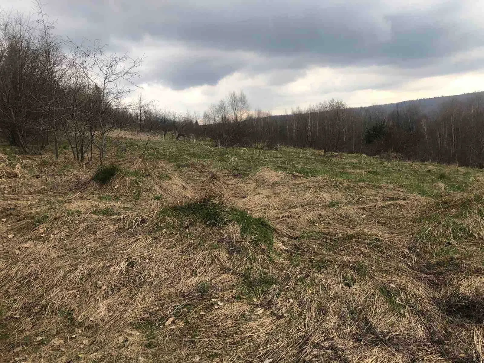 Ділянка 930 соток, Орів: ліс і річка, під бізнес-проєкти