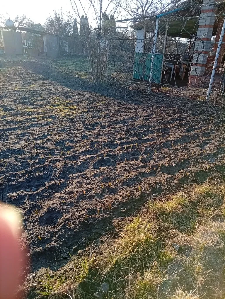 Дача, Баранівці: пляж за 7 хв, світло і полив - фото 4