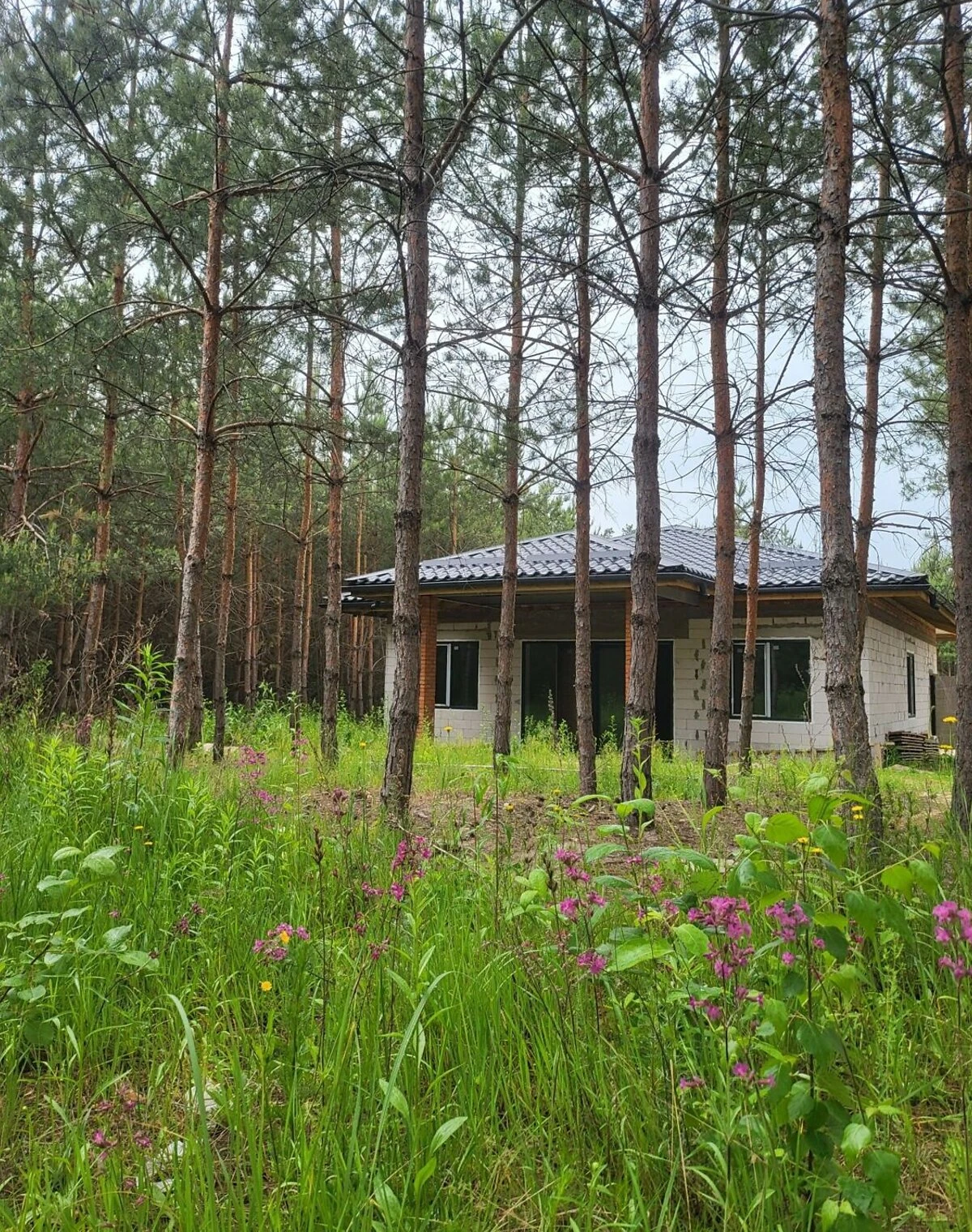 Будинок, Глеваха: газобетонні стіни, свердловина - фото 2
