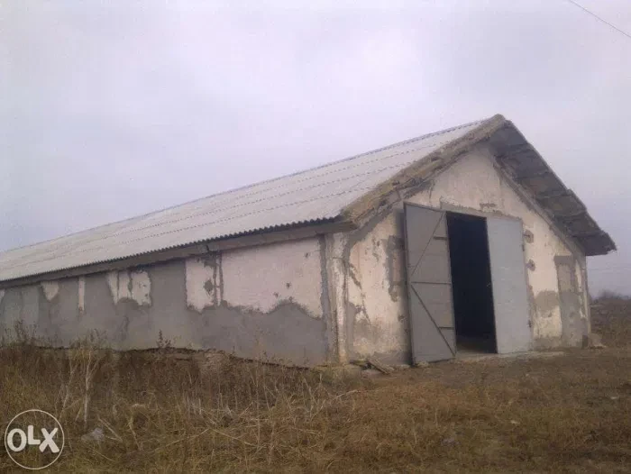 Склад, Краснополье: сухой, под зерно, торг, фото 2