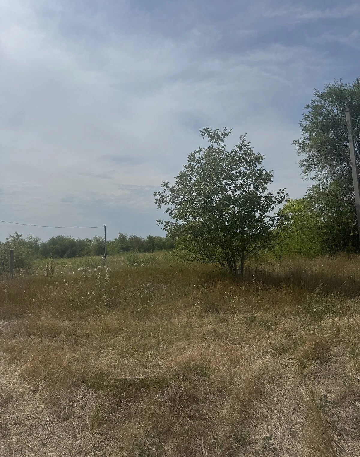 Участок 14.98 сотки, Александровка (Днепр): под гараж, торг, фото 3