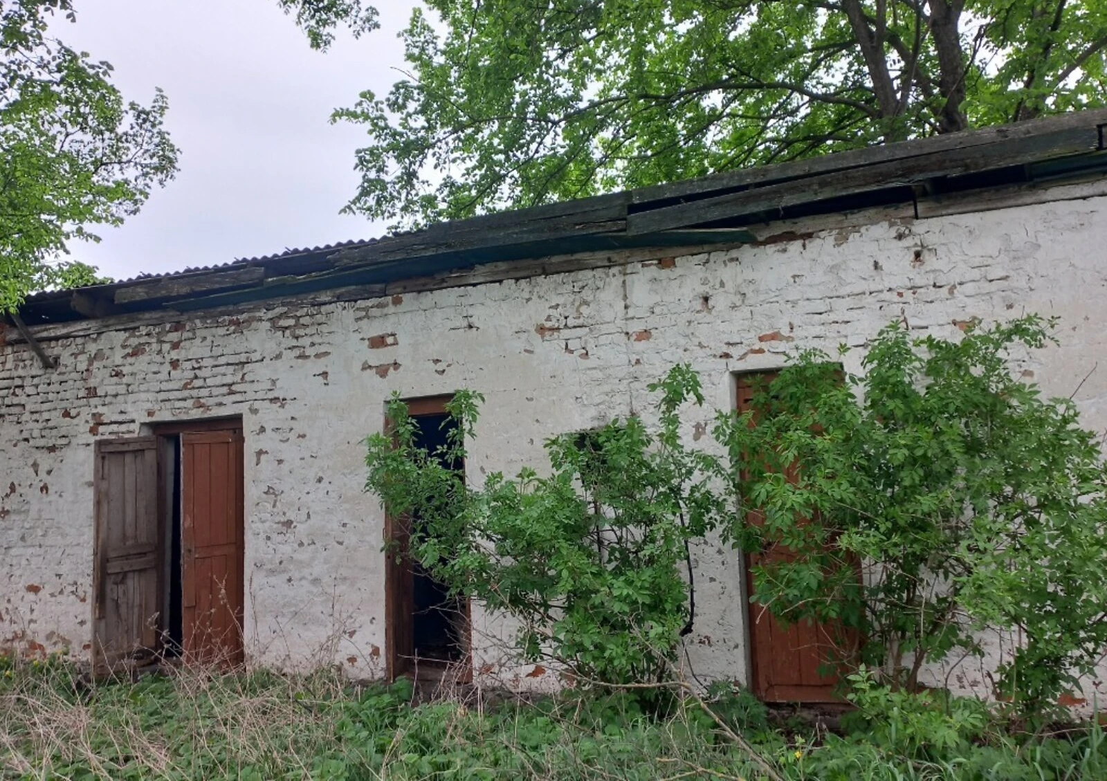 Офис, Кропивня: кабинетная планировка, отдельное здание, торг возможен, фото 2