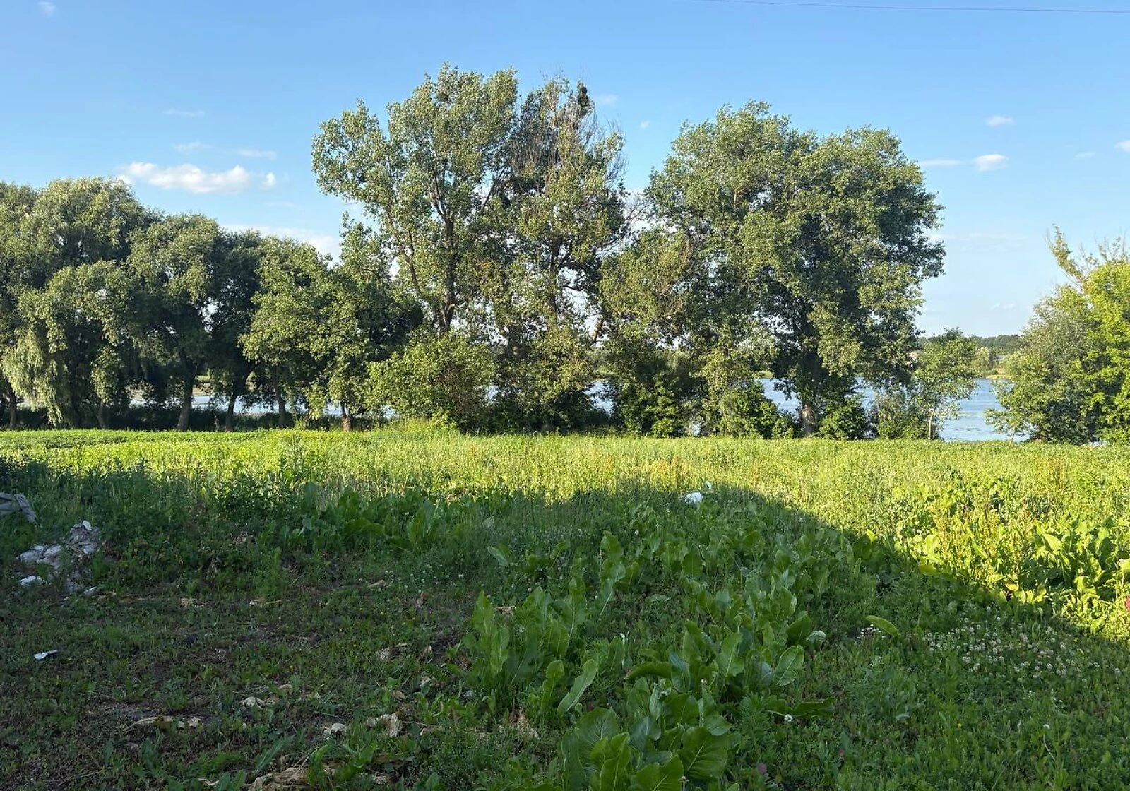 Будинок, Широка Гребля: 21 сотка, панорамні вікна, тераса - фото 2