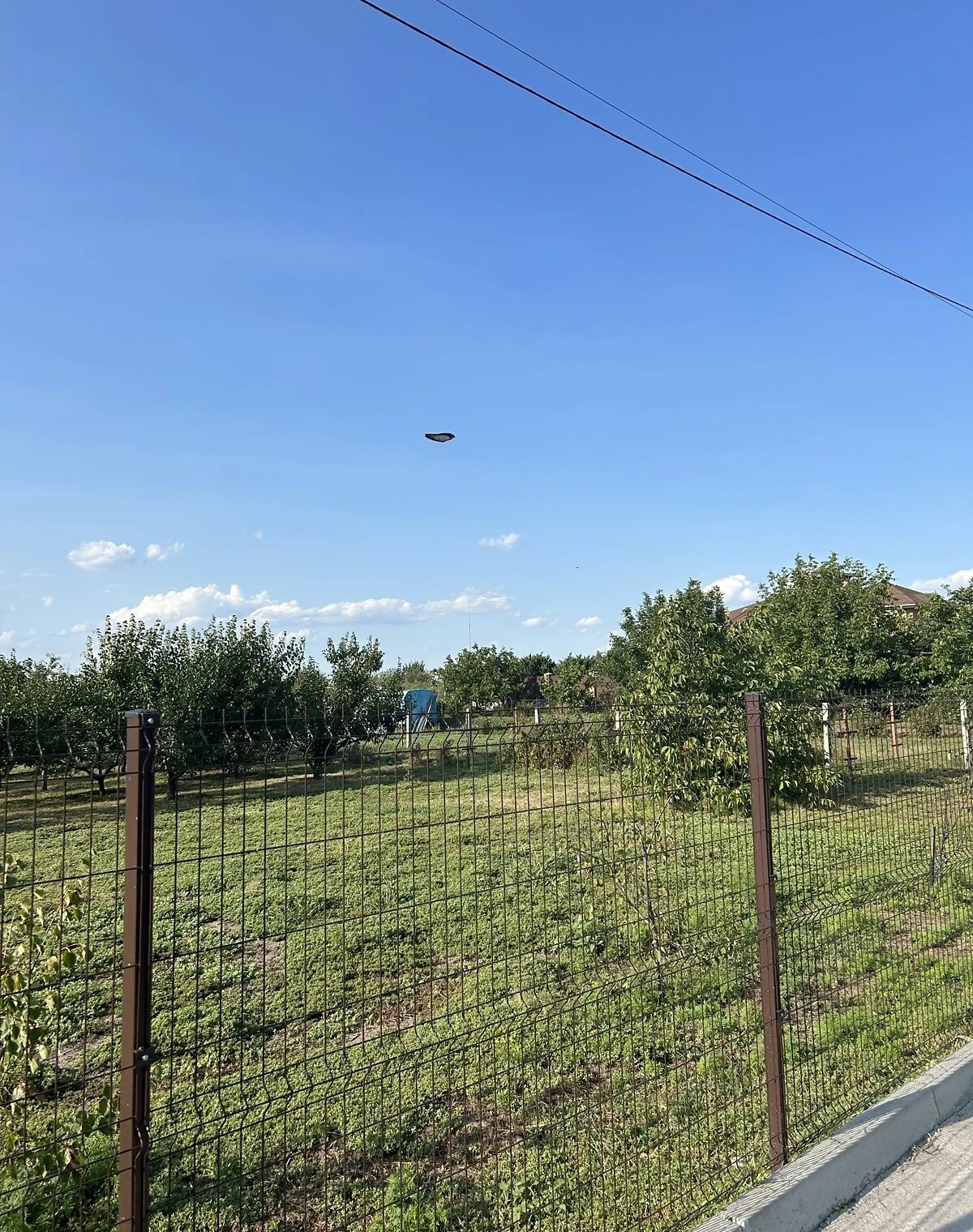 Участок 25 соток, Дериевка: под жилую застройку, электричество, фото 2