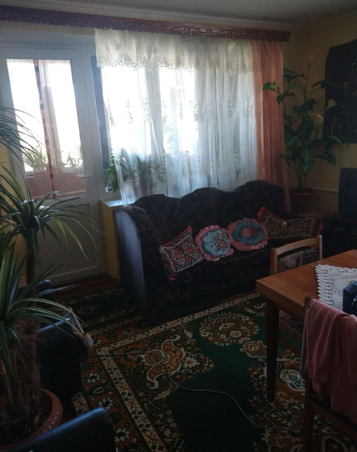 3-кімнатна квартира, Нижні Ворота: гараж із підвалом, свердловина, фото 2