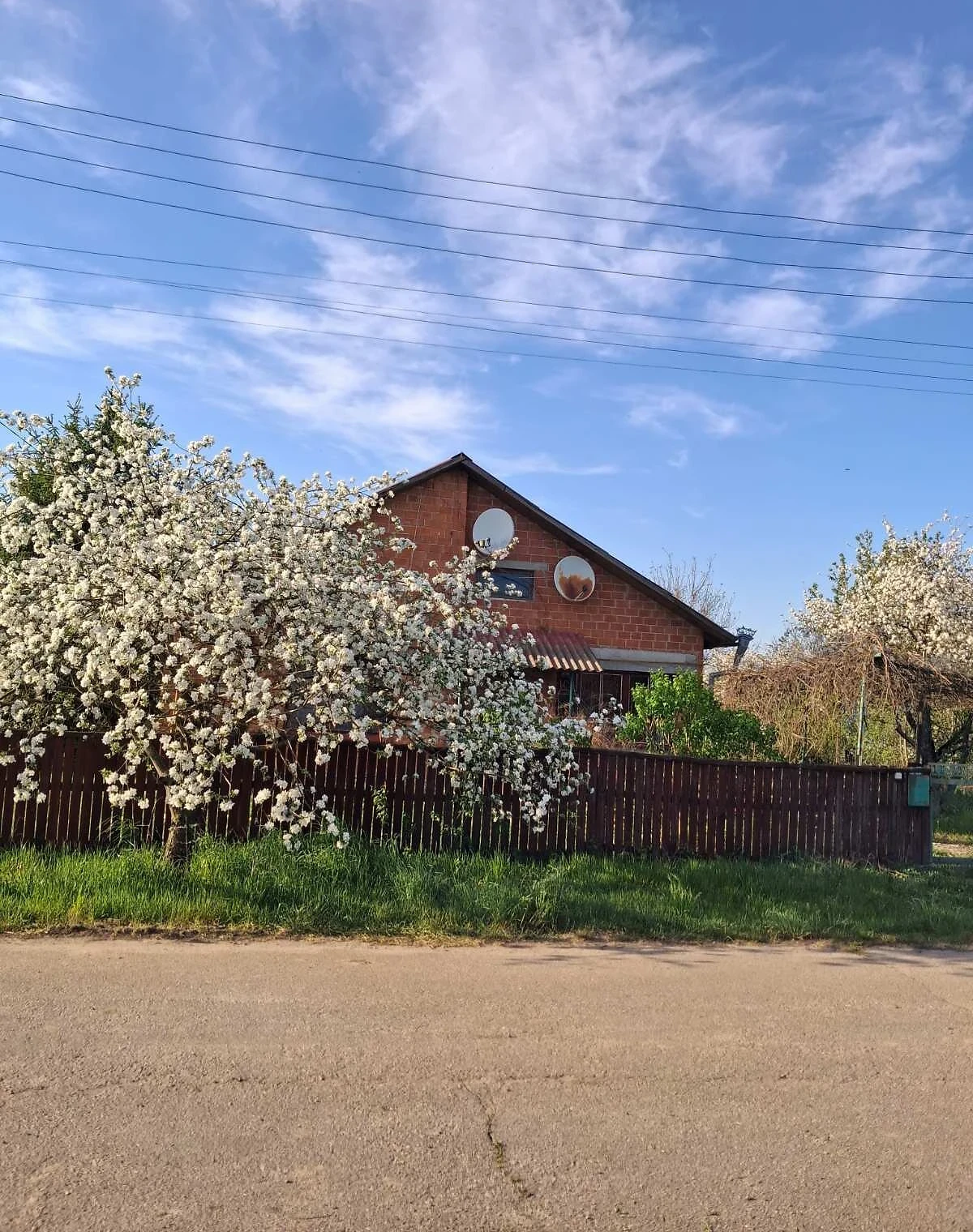 Дом, Лазаревка: 60 соток, веранда, беседка - фото 1