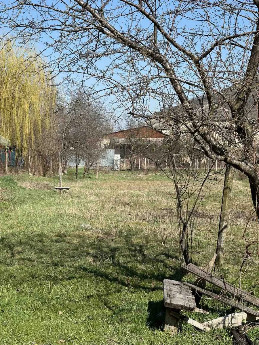 Будинок, Виноградів: під квартири, 25 соток, центр міста - фото 4