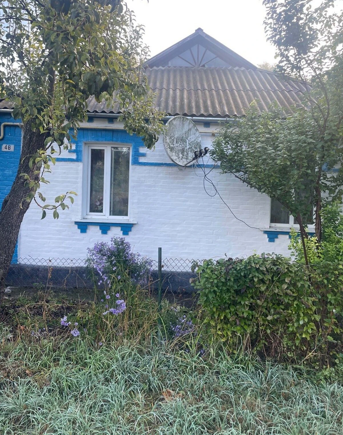 Будинок, Погребище: гараж із підвалом, криниця - фото 2