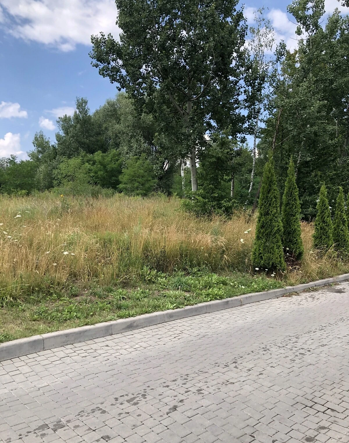 Приміщення, Сихівський: фасадне, панорамні вікна, укриття - фото 5