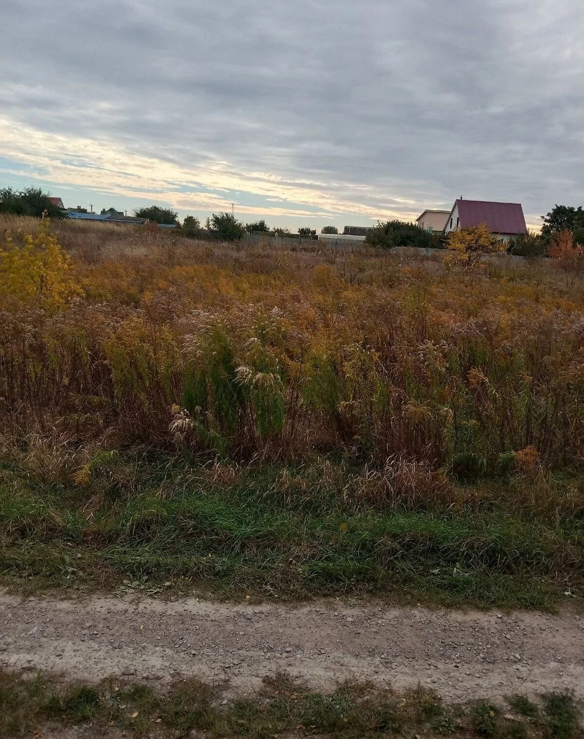 Ділянка 15 соток, Іванків (Бориспіль): під житлову забудову, під гараж - фото 1