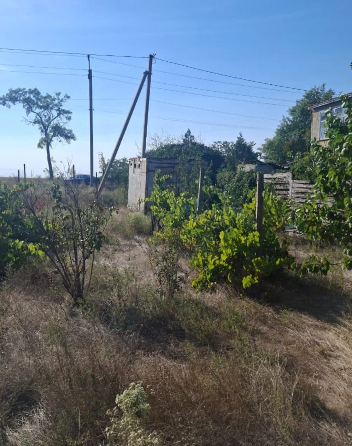 Ділянка 6 соток, Світле: під житлову забудову, торг можливий - фото 5