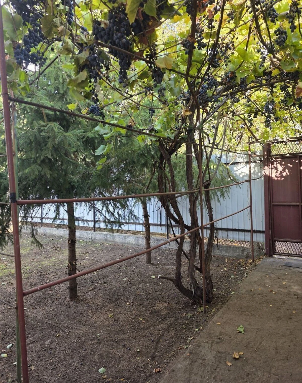 Дом, Никополь: бассейн, гараж, беседка - фото 4