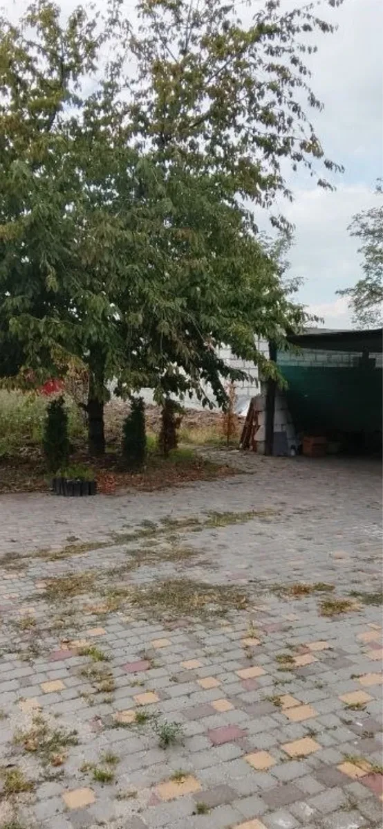 Будинок, Лупарево: база відпочинку на березі, 40 соток, фото 5