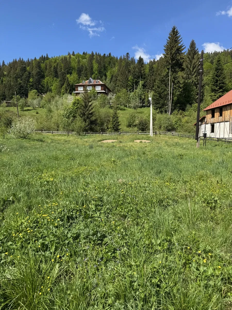 Ділянка 37 соток, Татарів: світло підключено, вид на Карпати, обмін - фото 1