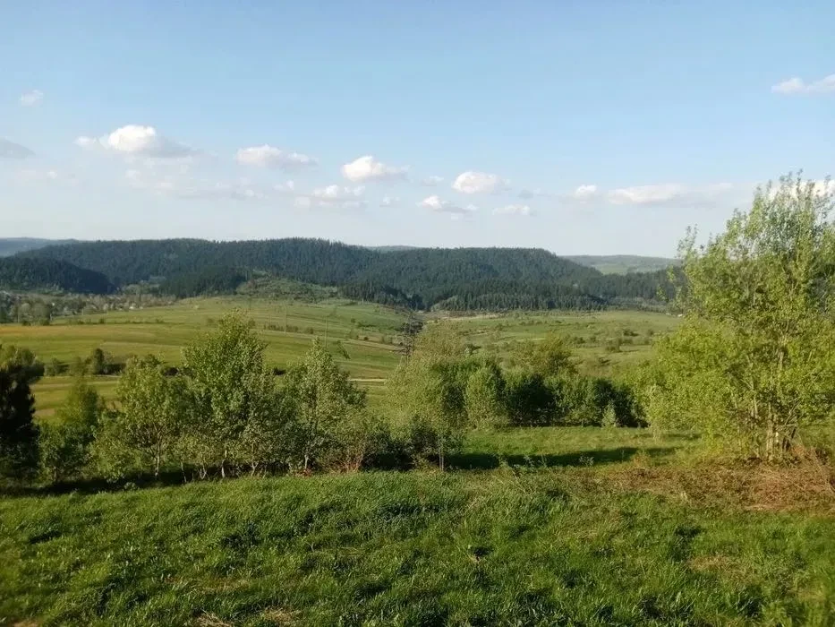 Участок 16 соток, Розлуч: у леса, обмен возможен, фото 5