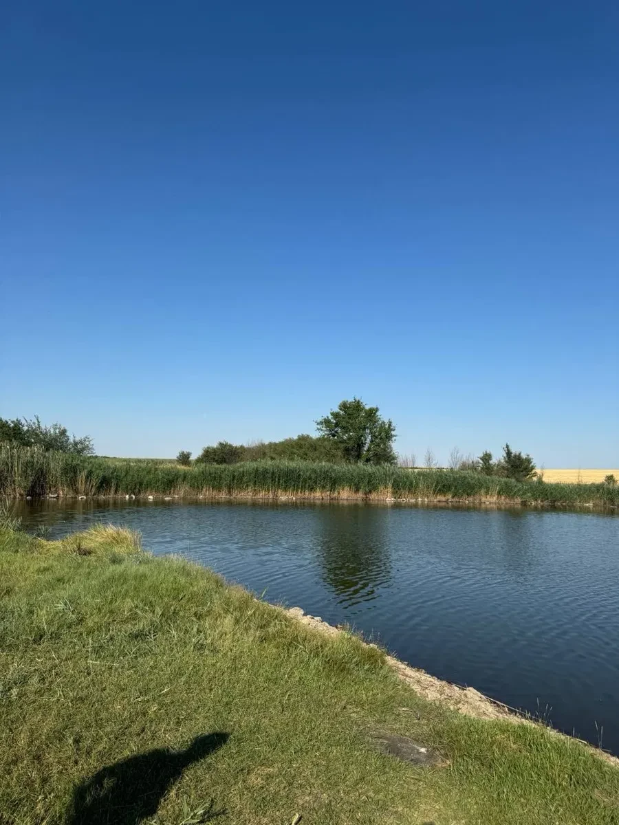 Ділянка 2.70 соток, Степанівське: ставок, водний фонд, фото 4
